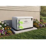 Briggs & Stratton 040814 26kW PowerProtect+ Generator with Dual 200A SE Transfer Switch